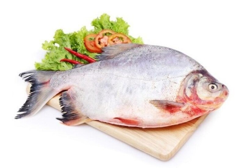 Cá chim có thịt mềm, béo nhẹ, ít xương dăm và dễ chế biến thành nhiều món ngon cho bữa cơm gia đình. 