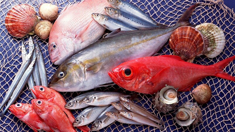 Cá tươi có mắt trong, mang đỏ hồng, thịt săn chắc và mùi tự nhiên dễ chế biến hơn. 