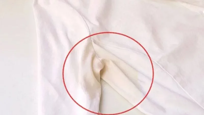 Cách tẩy vết ố vàng trên áo trắng hiệu quả ngay tại nhà