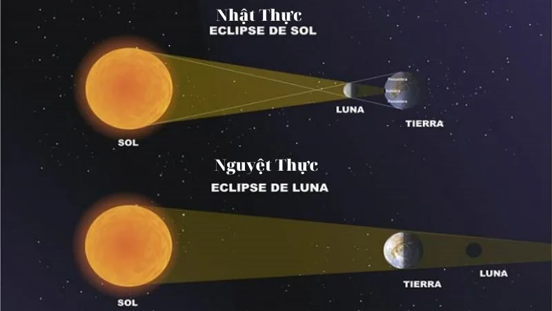 Nguyệt thực và nhật thực đều liên quan đến ba thiên thể, nhưng vị trí Mặt Trăng, Trái Đất và Mặt Trời hoàn toàn khác nhau.