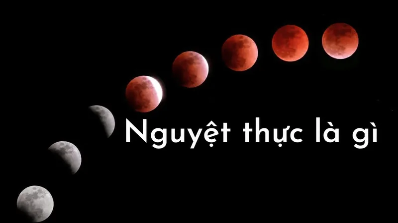Nguyệt thực xảy ra khi Trái Đất nằm giữa Mặt Trời và Mặt Trăng, khiến bóng Trái Đất che khuất Mặt Trăng.