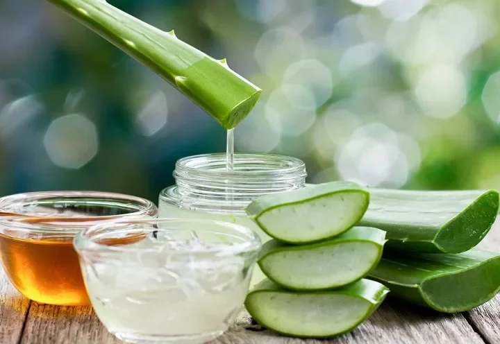 Cách Làm Mặt Nạ Nha Đam Dưỡng Da Mịn Màng, Sạch Mụn Tại Nhà