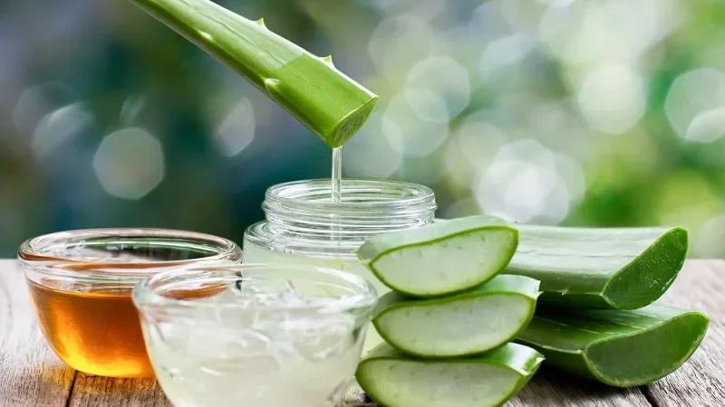 Cách Làm Mặt Nạ Nha Đam Dưỡng Da Mịn Màng, Sạch Mụn Tại Nhà