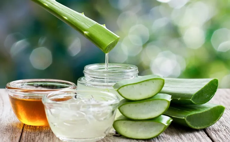Cách Làm Mặt Nạ Nha Đam Dưỡng Da Mịn Màng, Sạch Mụn Tại Nhà