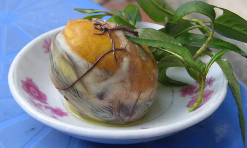 an hot vit lon co tot khong