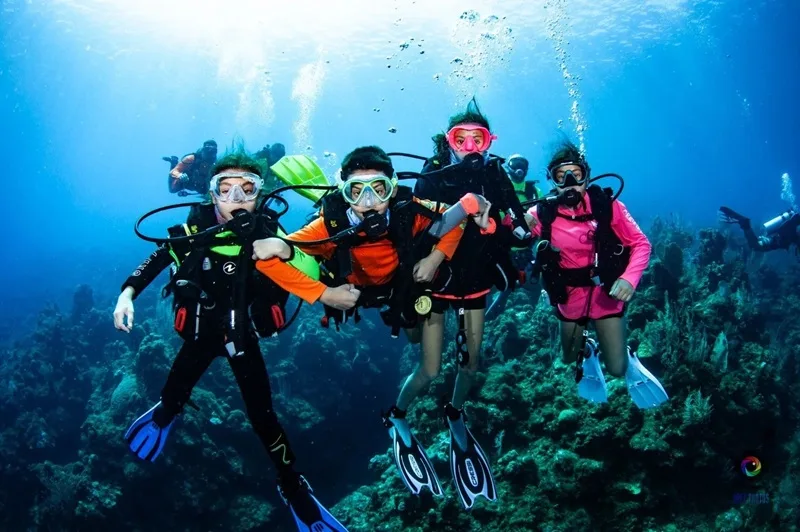 scuba diving la gi