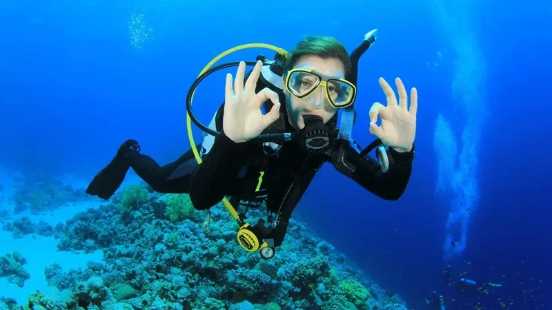 Scuba Diving Là Gì: Cẩm Nang Khám Phá Môn Lặn Scuba Từ A-Z