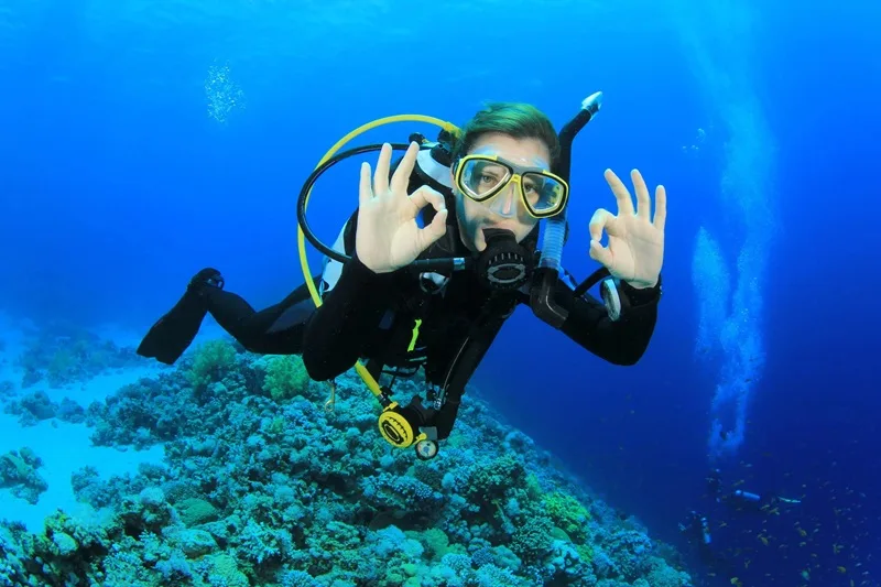 Scuba Diving Là Gì: Cẩm Nang Khám Phá Môn Lặn Scuba Từ A-Z